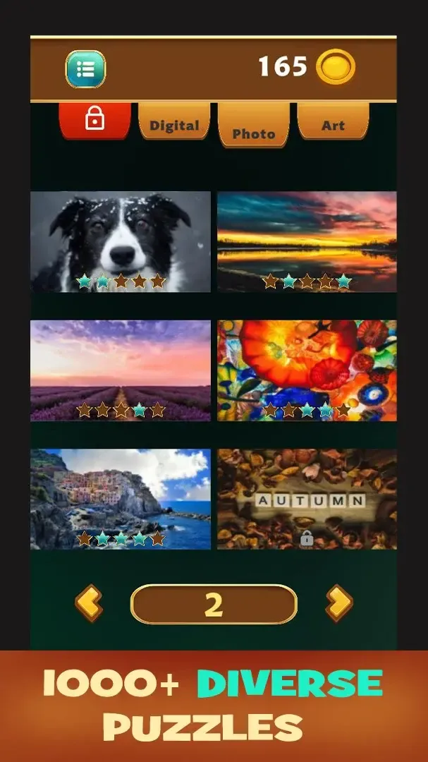 Jigsaw Artistry