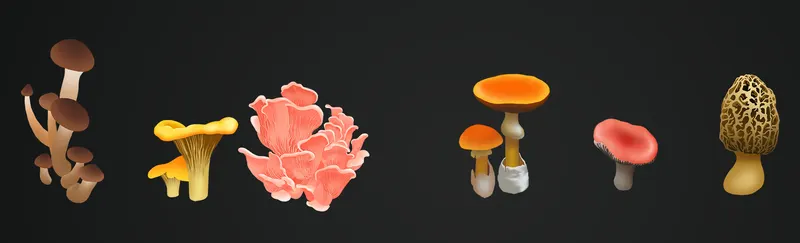 Mushrooms